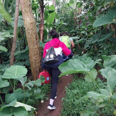 Chagga Culture and Natural Wonders