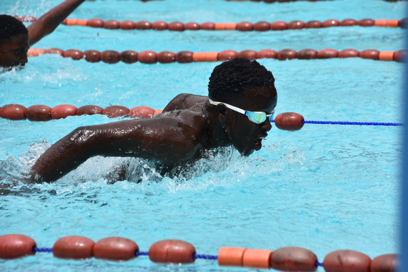 Swimming Gala