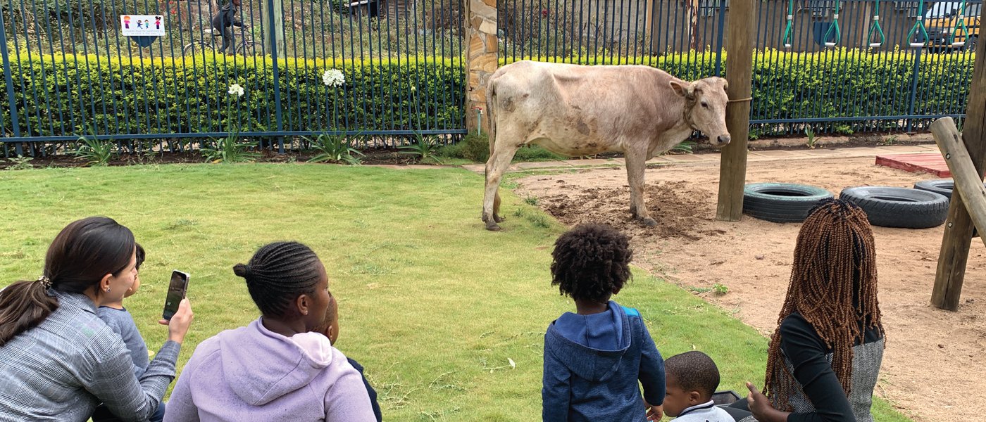 Exploring the World of Farm Animals in Crèche Class - Braeburn ...