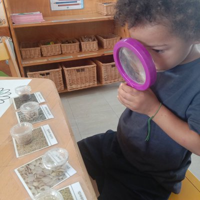 science early years