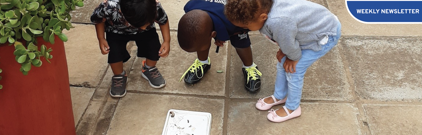 Nurturing Curiosity And Independence In Children Braeburn