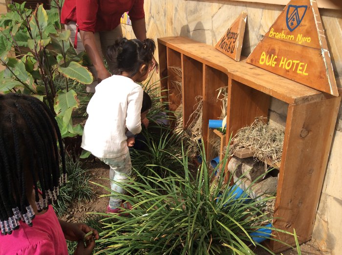 Bug Hotel